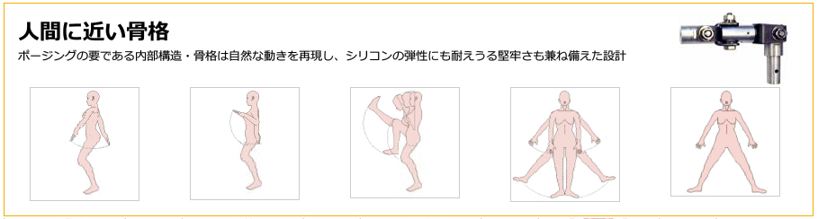 4woods A.I.doll 艶の独自骨格