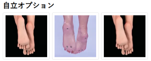自立オプションの選択画面