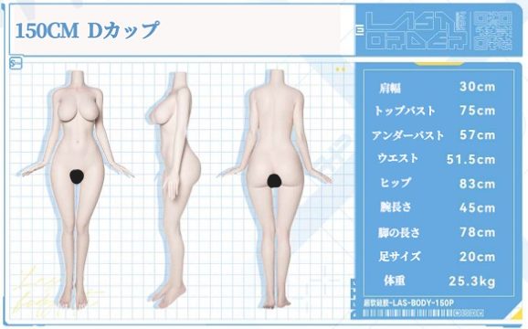 150cm Dカップ