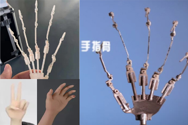 ラブドールの指骨格