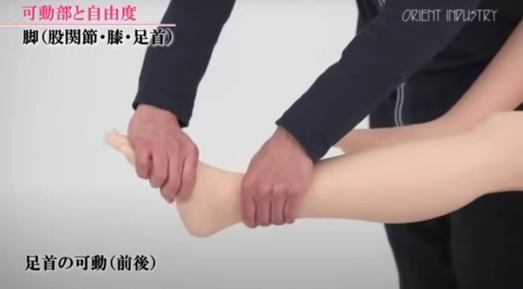 ラブドールの足先をまっすぐに整える様子