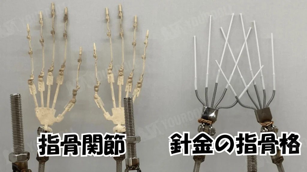 指関節オプション